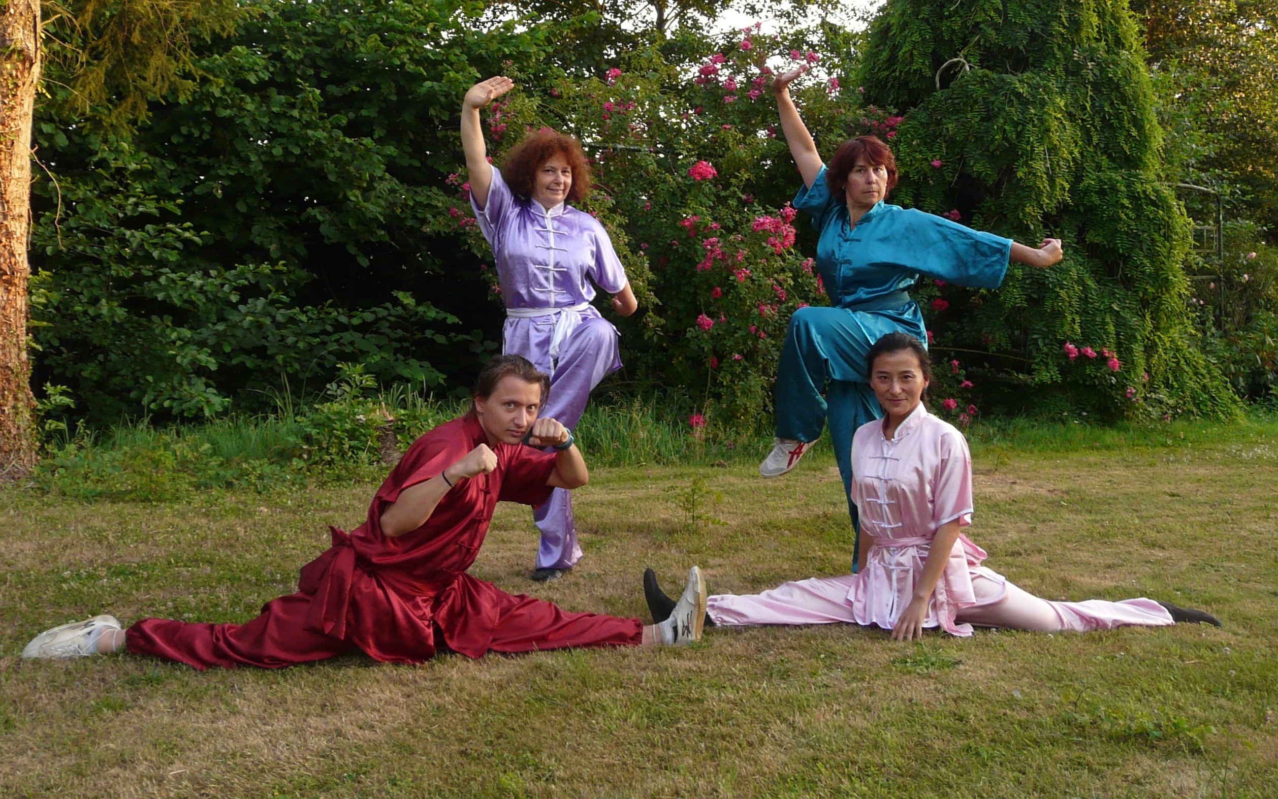 Démonstation de Kung Fu